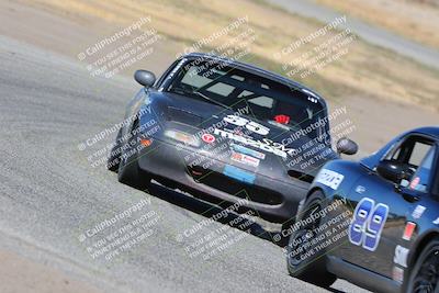 media/Oct-15-2023-CalClub SCCA (Sun) [[64237f672e]]/Group 4/Race/